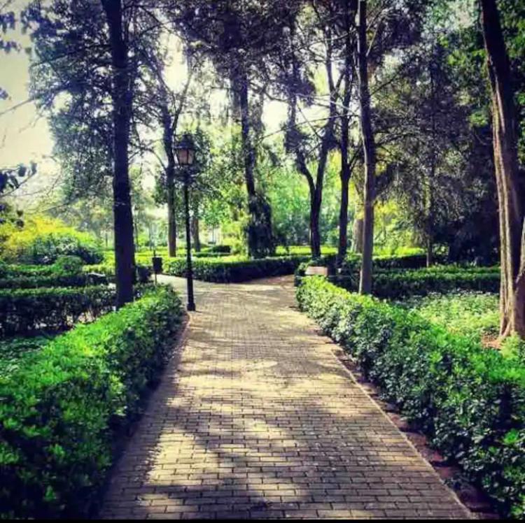 Lovely Near & Science Appartement Valencia
